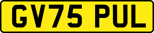 GV75PUL