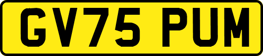 GV75PUM