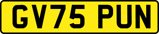 GV75PUN