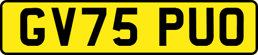 GV75PUO