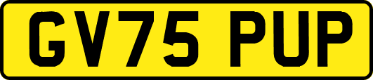 GV75PUP