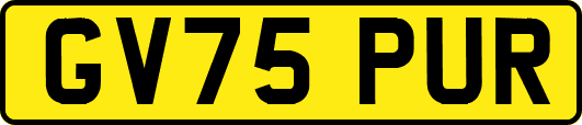 GV75PUR