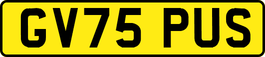 GV75PUS
