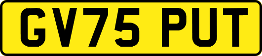 GV75PUT