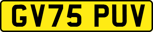 GV75PUV
