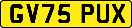 GV75PUX