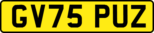 GV75PUZ