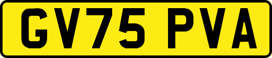 GV75PVA