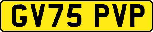 GV75PVP