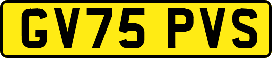 GV75PVS