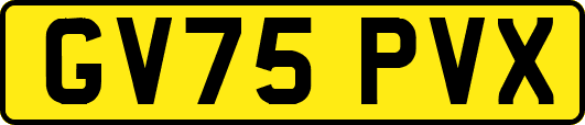 GV75PVX