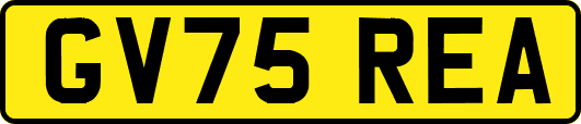 GV75REA