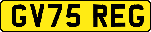 GV75REG