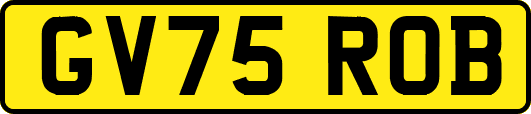 GV75ROB