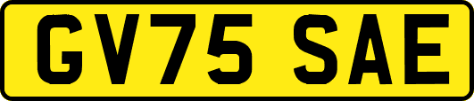 GV75SAE
