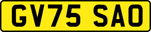 GV75SAO