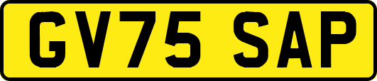GV75SAP