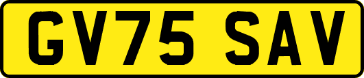 GV75SAV