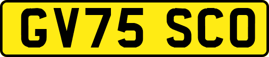 GV75SCO