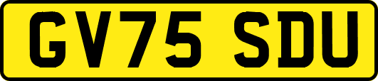 GV75SDU