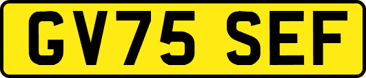 GV75SEF