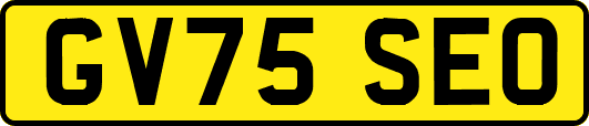 GV75SEO