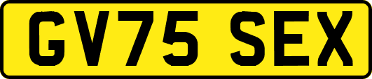 GV75SEX