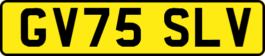 GV75SLV