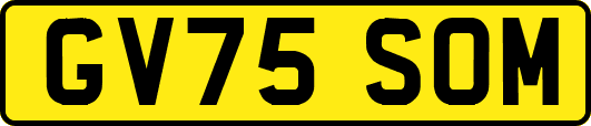 GV75SOM
