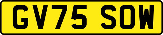 GV75SOW