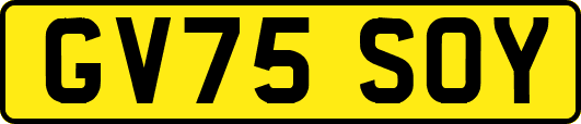 GV75SOY