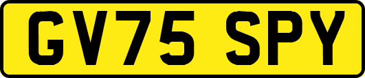 GV75SPY