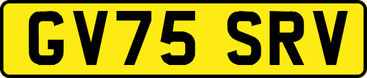 GV75SRV