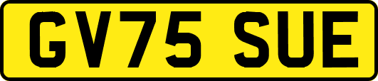 GV75SUE