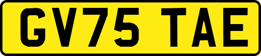 GV75TAE