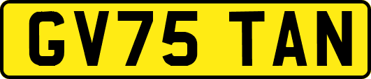 GV75TAN