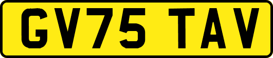 GV75TAV