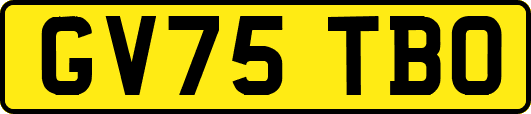 GV75TBO
