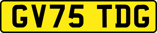 GV75TDG