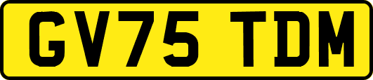 GV75TDM