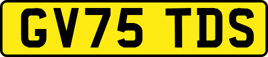 GV75TDS