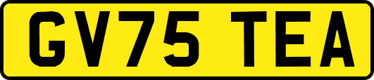 GV75TEA