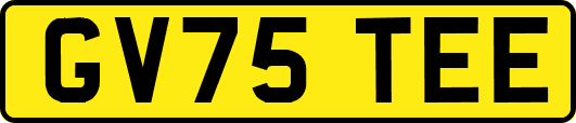 GV75TEE
