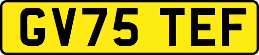 GV75TEF