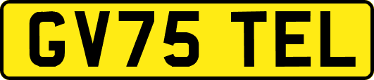 GV75TEL