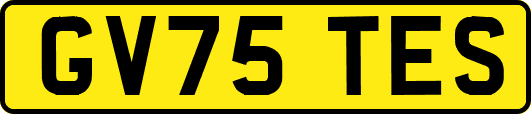 GV75TES