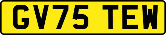 GV75TEW