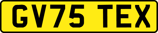 GV75TEX