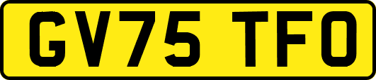 GV75TFO