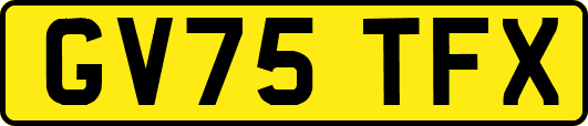 GV75TFX
